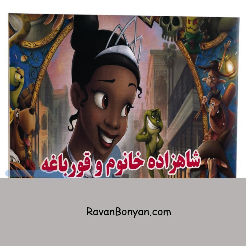 کتاب شاهزاده خانوم و قورباغه انتشارات داریوش از زهرا مرادی | روان بنیان