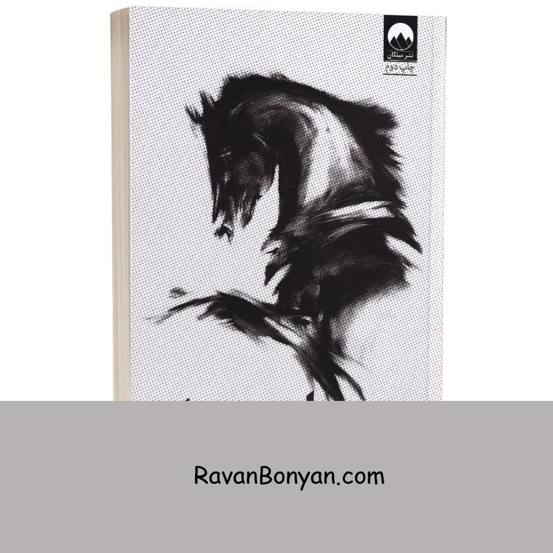 کتاب اسب سیاه اثر تاد رز و اگی اگاس انتشارات میلکان از اُگی اُگاس, تاد رُز | روان بنیان