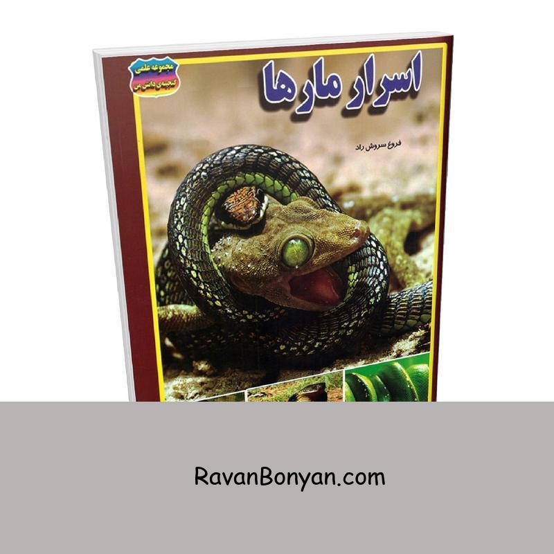 کتاب اسرار مارها اثر فروغ سروش راد انتشارات حباب از فروغ سروش راد | روان بنیان