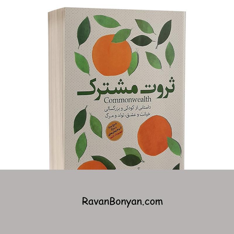 کتاب ثروت مشترک اثر آن پچت انتشارات راه معاصر از آن پچت | روان بنیان