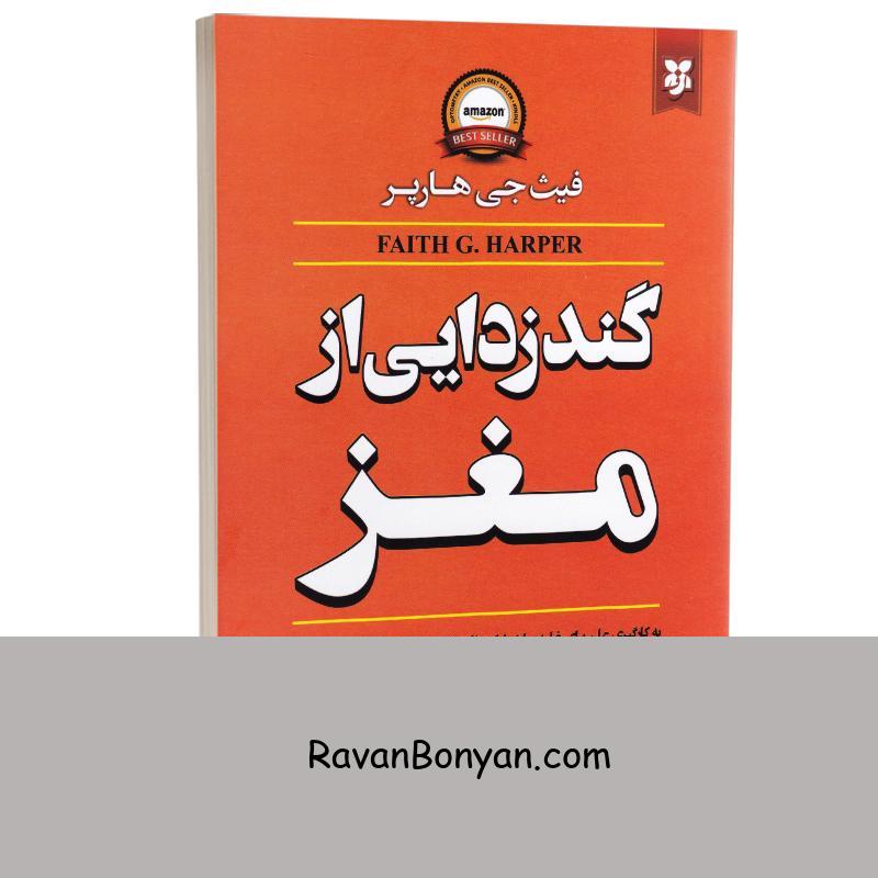 کتاب گندزدایی از مغز اثر فیث جی هارپر انتشارات نیک فرجام از فیث جی هارپر | روان بنیان