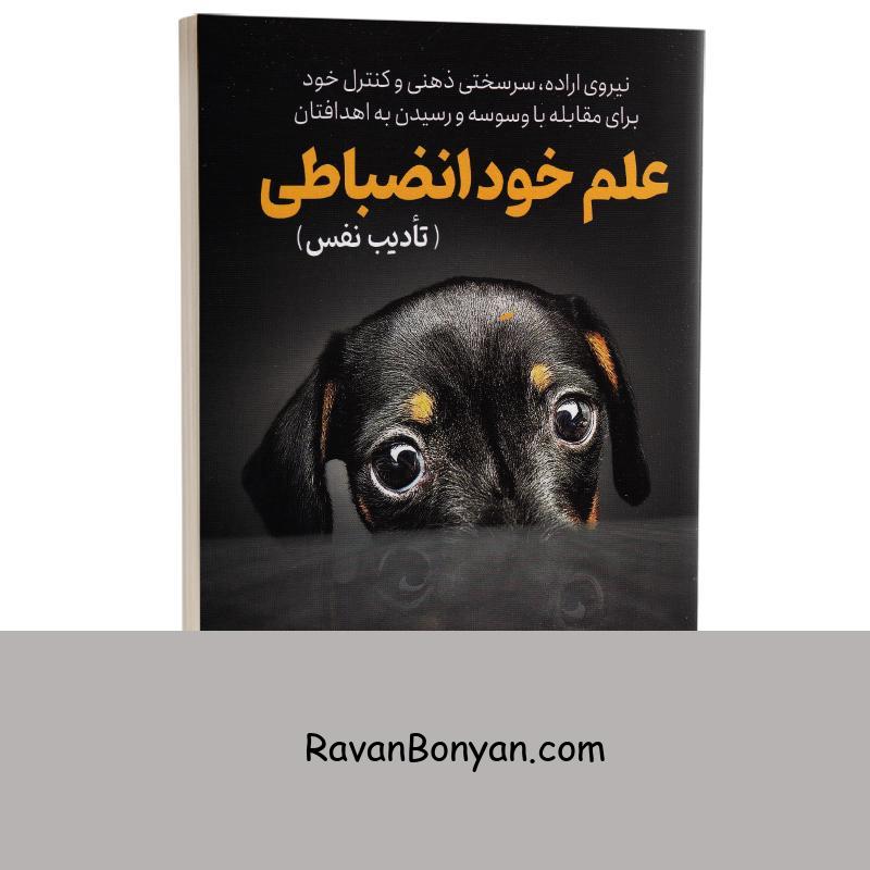 کتاب علم خود انضباطی (تأدیب نفس) اثر پیتر هالینز انتشارات یوشیتا از پیتر هالینز | روان بنیان