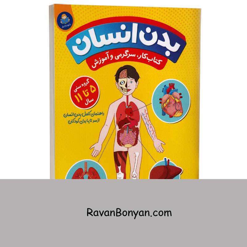 کتاب بدن انسان (ویژه کودکان 5 تا 11 سال) اثر دکتر کتی استوکس نشر کودک یار (یوشیتا) از دکتر کتی استوکس | روان بنیان
