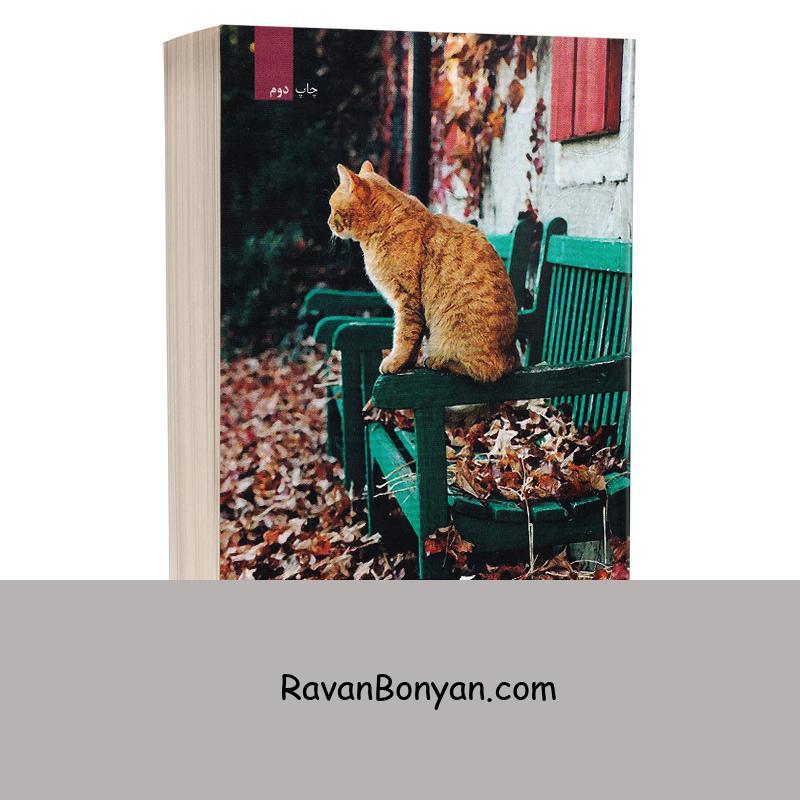 کتاب آواز پاییز اثر مژگان زارع انتشارات برکه خورشید از مژگان زارع | روان بنیان